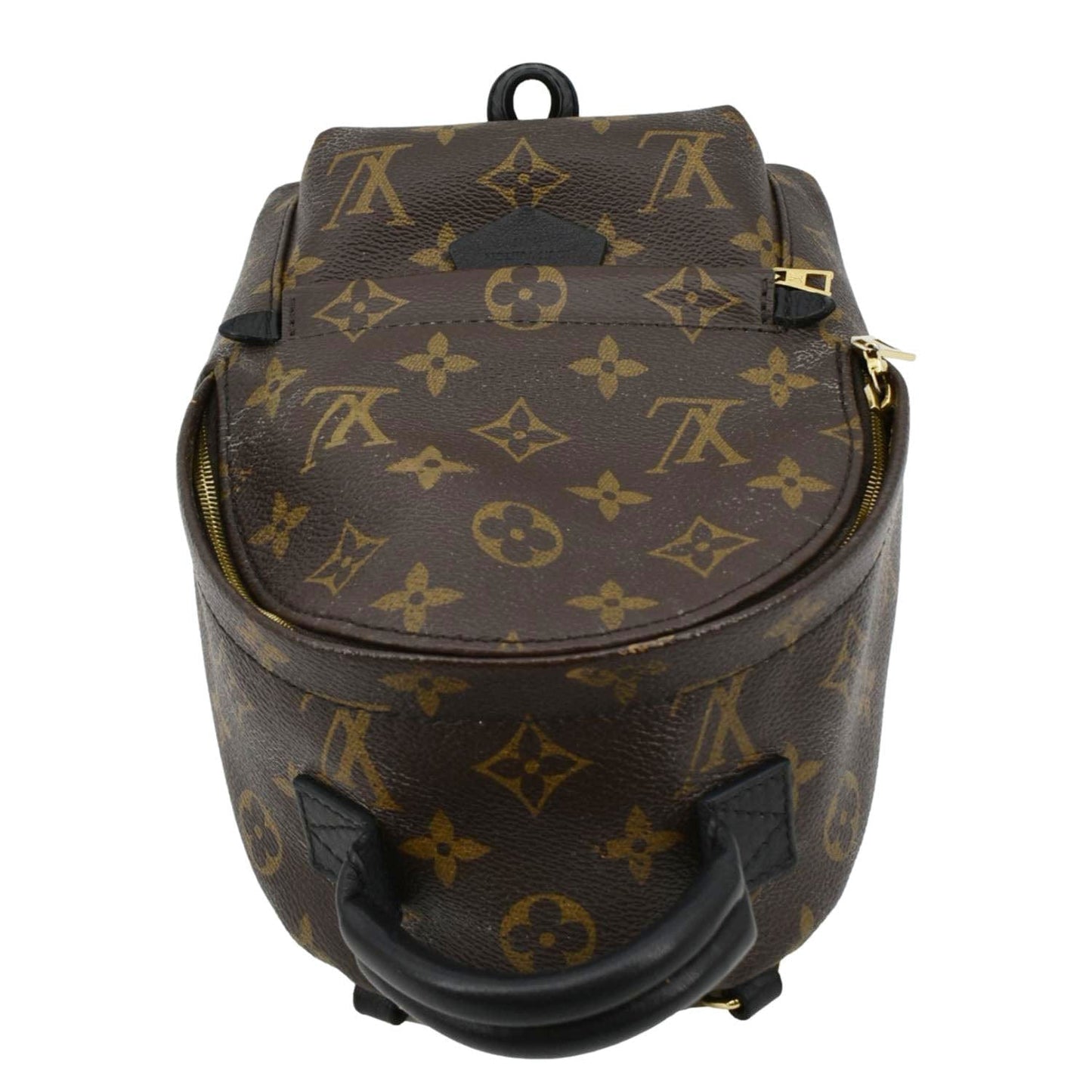 LOUIS VUITTON Palm Springs Mini Monogram Canvas Backpack Brown